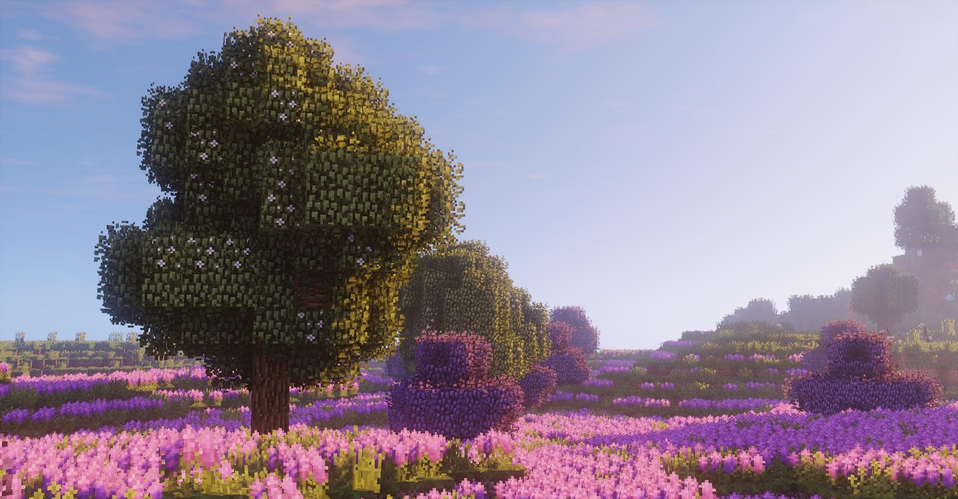 Minecraft Server Hosting